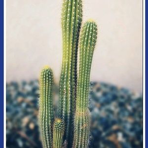 Meet your Posher, Maddie